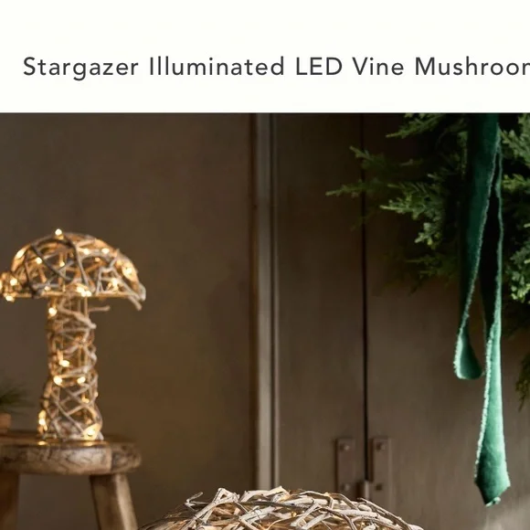 Stargazer illuminated LED vine mushroom - Picture 4 of 10